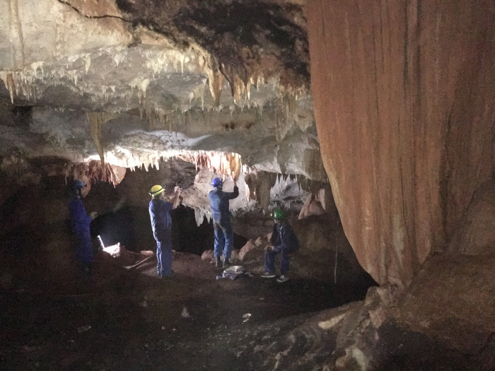 Concluye primera fase de estudio bioespeleológico