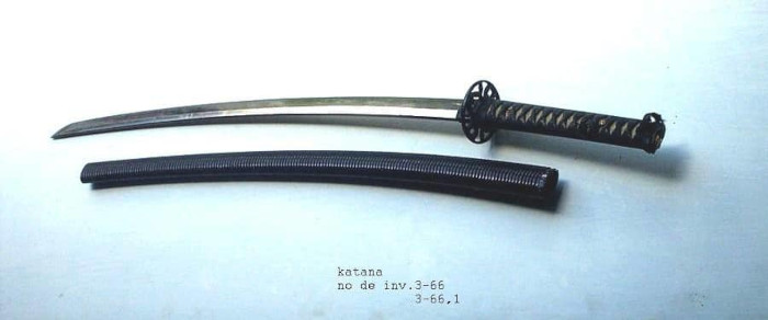 El Museo y los jóvenes: Tradición y futuro