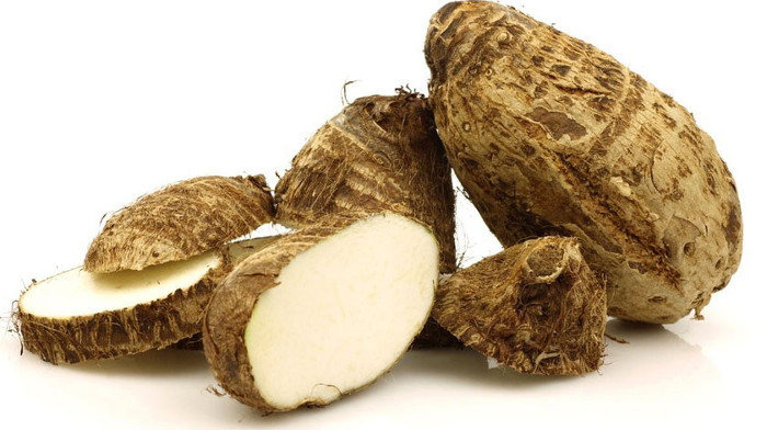 El ñame: resiliente, rústico, económico, de altos rendimientos