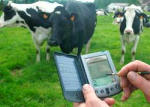 Proyecto internacional de ganadería de precisión se aplica en Camagüey