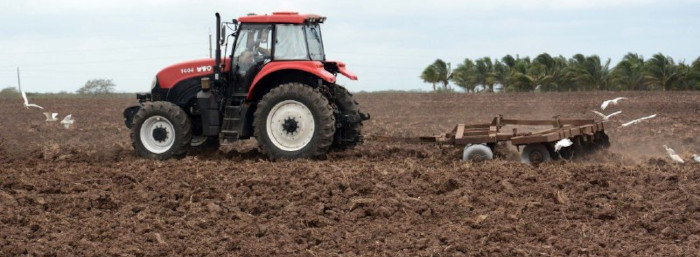Camagüey por más producción de alimentos