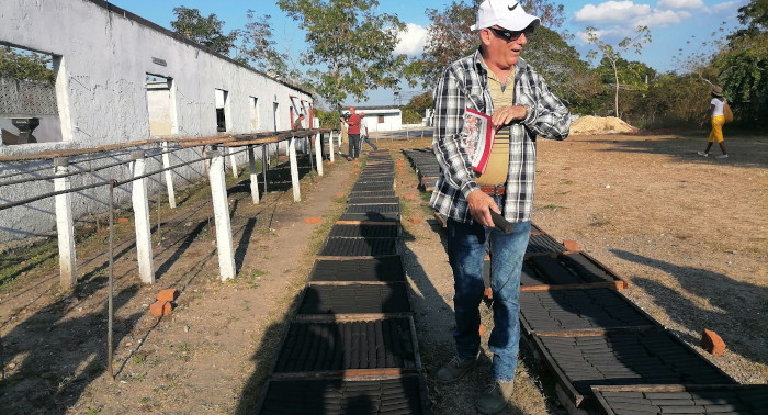 Producen en Sibanicú fuente alternativa de energía