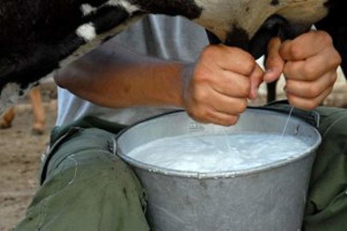 Foto: Tomada de prensa-latina.cu Proyecto internacional en Camagüey por la soberanía alimentaria
