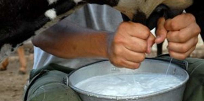 Proyecto internacional en Camagüey por la soberanía alimentaria