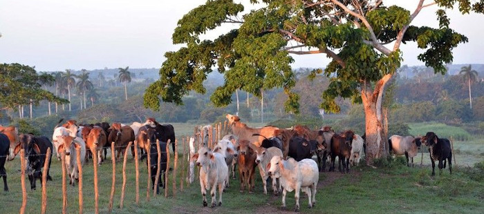 Acciones de manejo sostenible en tierras camagüeyanas