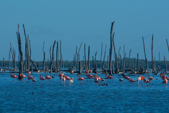 Foto: Bioencuadre Evalúan resultados favorables para el medio ambiente en Camagüey