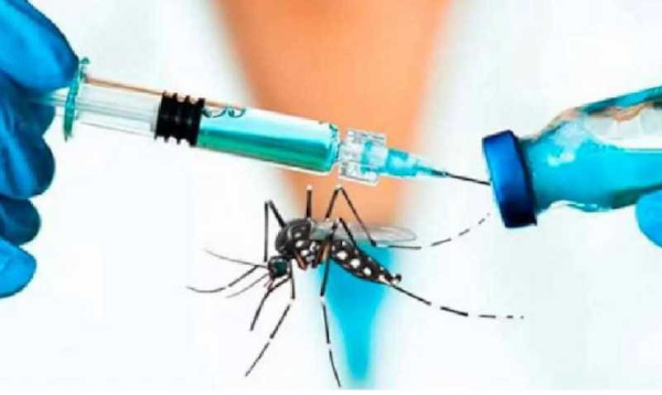 Foto: Tomada de escambray.cu Cuba tendrá su vacuna contra el dengue