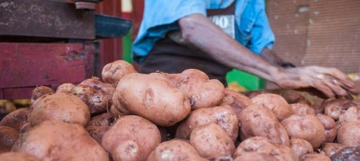 Venta de papa regulada en Camagüey