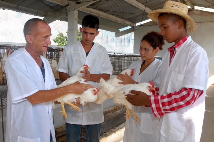 Foto: Rodolfo Blanco Cué/ ACN Sector educacional camagüeyano produce alimentos