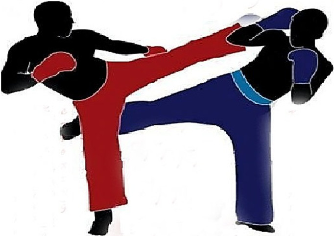 Camagüey, plaza de encuentro internacional de Kick Boxing