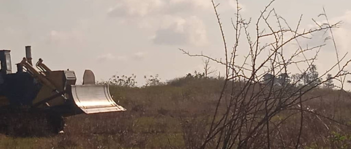 Fase inicial para el montaje de parque solar fotovoltaico de 20 megawatts