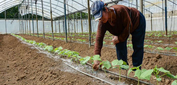 Diputados chequean implementación de Ley de Soberanía Alimentaria 