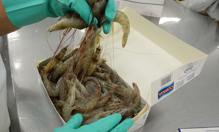 Camagüey por concretar proyecciones de Gobierno