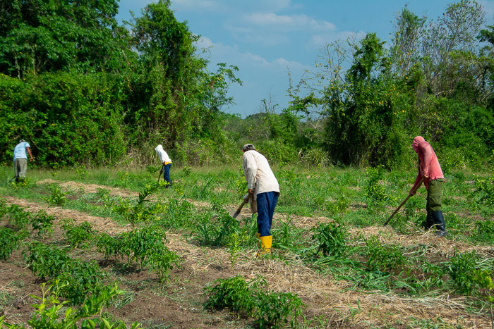 Fotos: Alejandro Rodríguez Rodríguez/ Adelante Dos joyas del anillo verde