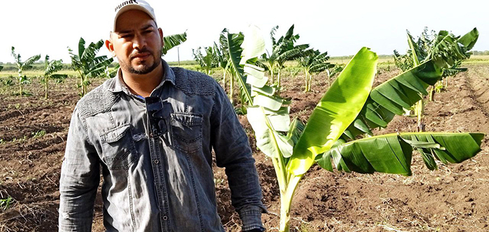 Joven camagüeyano asume el compromiso de producir... 