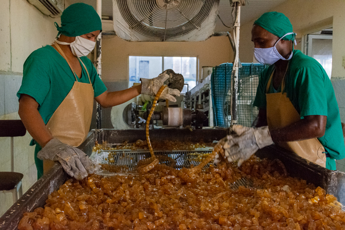 Foto: Leandro Pérez Pérez/ Adelante/ Archivo Desde el lunes, fórum de Ciencia de grupo empresarial alimentario