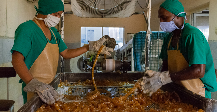 Desde el lunes, fórum de Ciencia de grupo empresarial alimentario