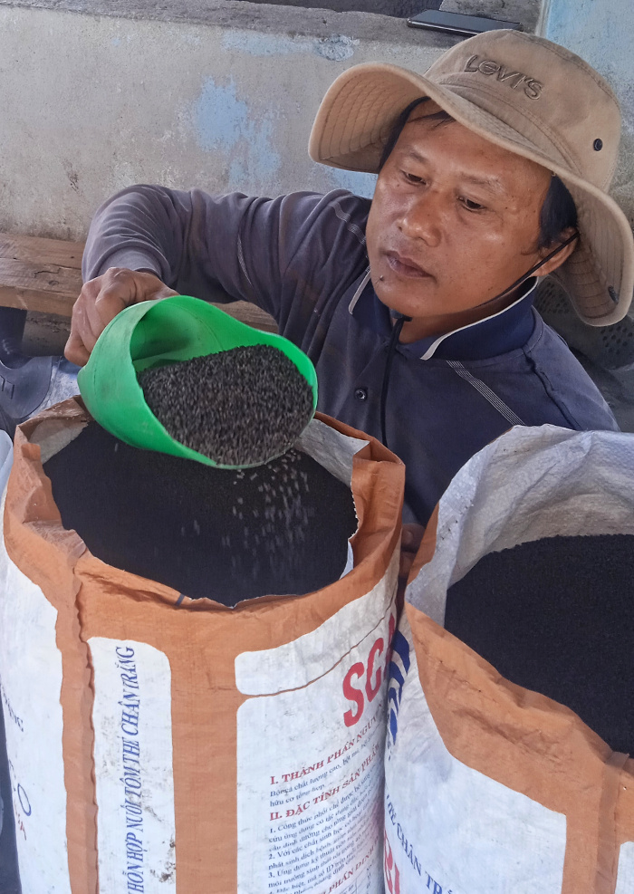 Especialista vietnamita pesa el alimento de los camarones, pienso de engorde con 40% de proteínas.