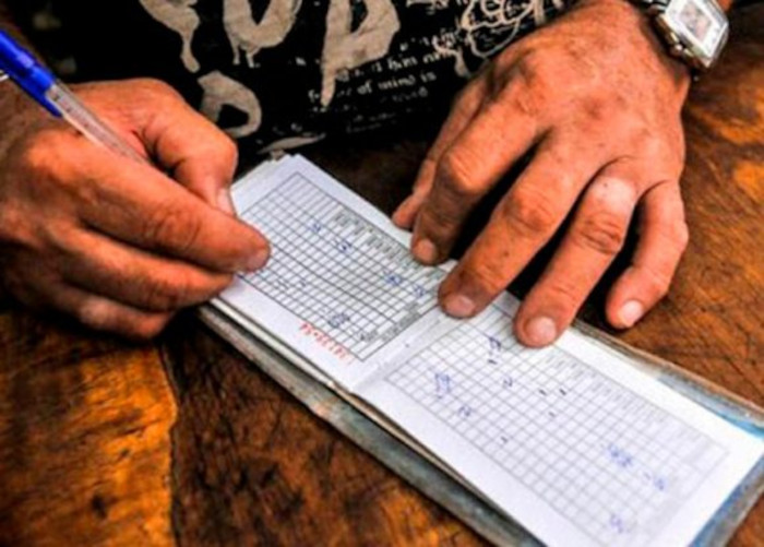 Distribución de la canasta familiar normada 