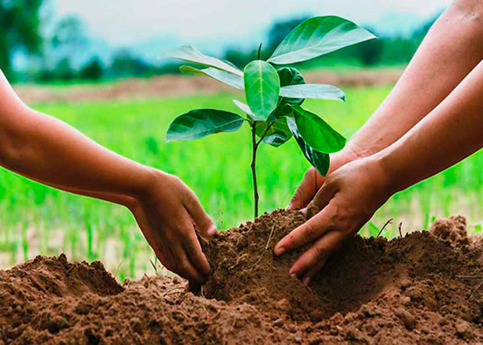 Jóvenes camagüeyanos siembran árboles citados por Martí en diario de Campaña