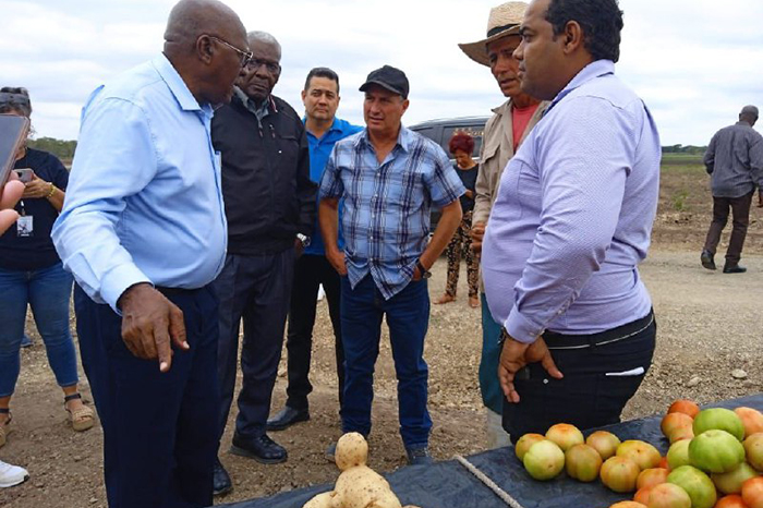 Se consolida importante polo productivo en Camagüey