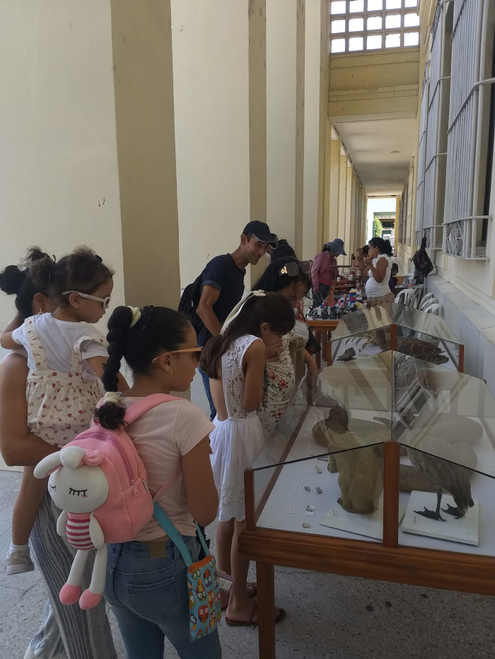 Como la institución sigue cerrada por reparación, intenta mantener el vínculo con el público. Entre las maneras de lograrlo está la acción mensual “Colecciones ocultas”. Así el proyecto del Departamento de Conservación vincula la historia de objetos museables con vivencias, usos y nuevas experiencias.