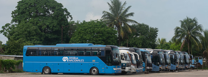 La buena ruta de Ómnibus Nacionales