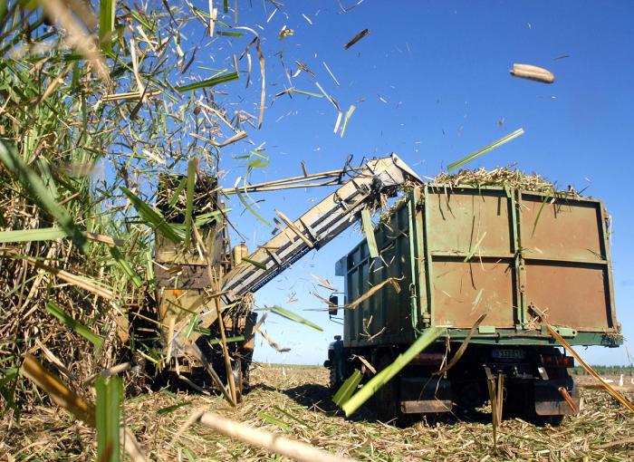 Entre los propósitos está el uso de tecnologías eficientes en las labores de cultivo, riego y cosecha. Foto: Pastor Batista/ granma.cu  Inversión extranjera para modernizar centrales azucareros cubanos