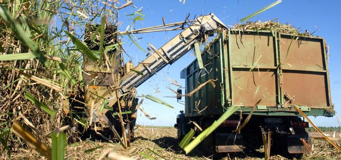 Inversión extranjera para modernizar centrales azucareros cubanos
