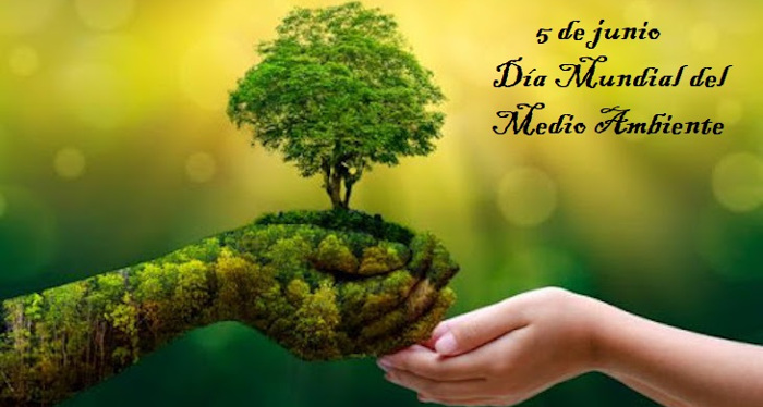 ¿Sembramos boniato o protegemos el medio ambiente?