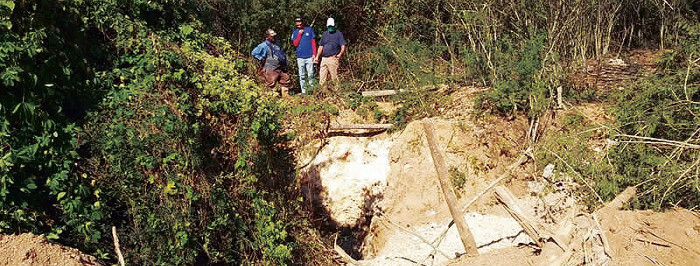 “Cazadores” de oro, sin impunidad