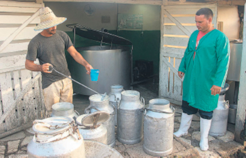 En medio de situaciones complejas con los recursos materiales, situaciones climatológicas y elevados precios de insumos, servicios y fuerza de trabajo, muchos productores sí cumplen sus compromisos de entrega de leche. Camagüey necesita acopiar unos 59 000 litros diarios para menores de siete años, e instituciones de Salud y Educación. En enero fueron a la industria alrededor de 300 000 menos.