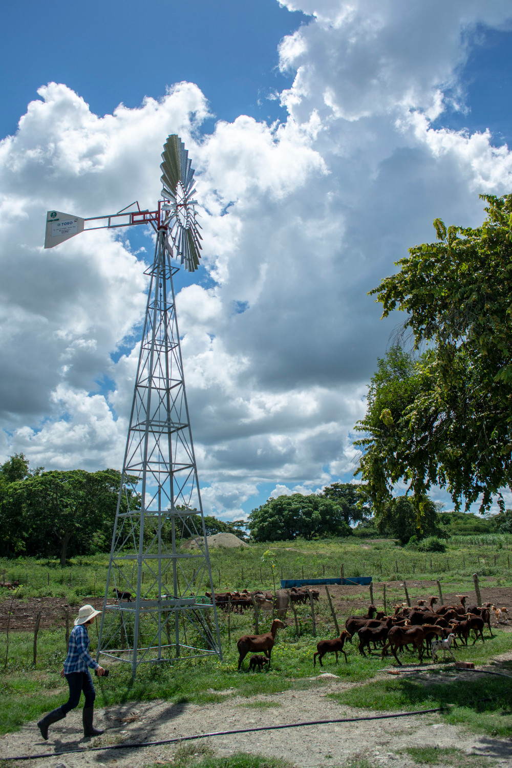  El uso de energías renovables tiene múltiples beneficios para una finca ganadera. Foto: Majo Minatel