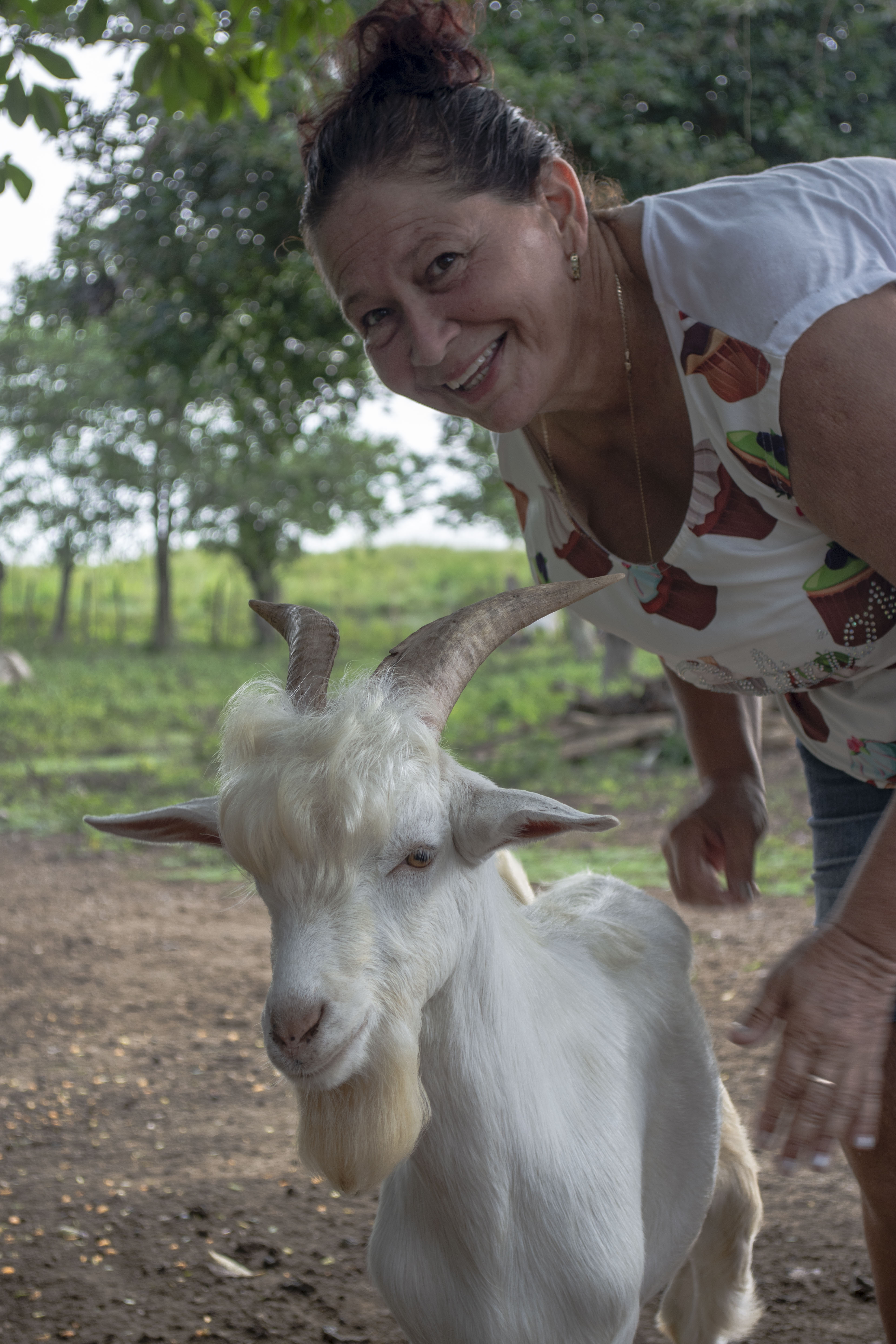  Martha Serrano, productora de Jimaguayú, pretende ampliar el manejo de razas caprinas en su finca. Foto: Majo Minatel