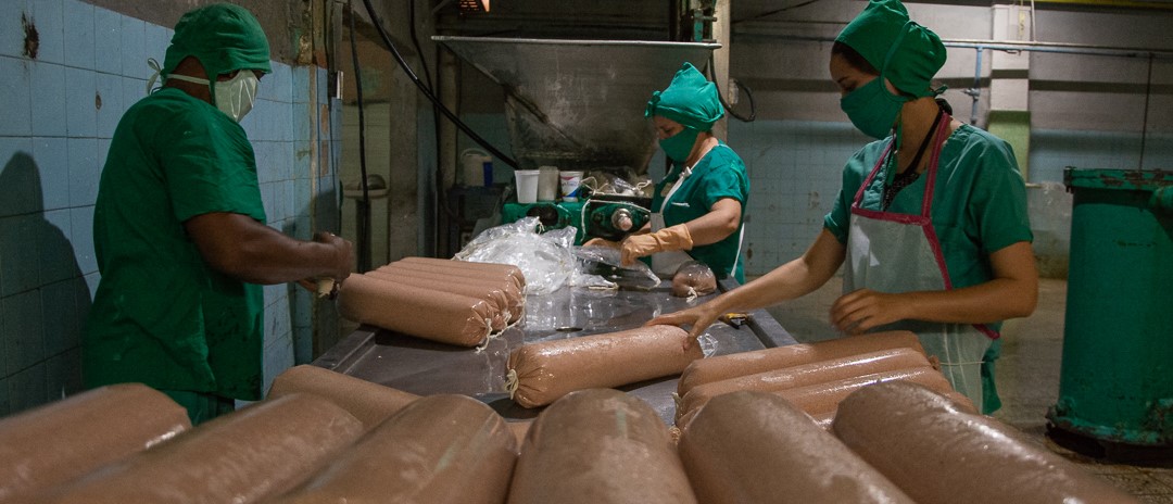 Alta prioridad a la producción de alimentos