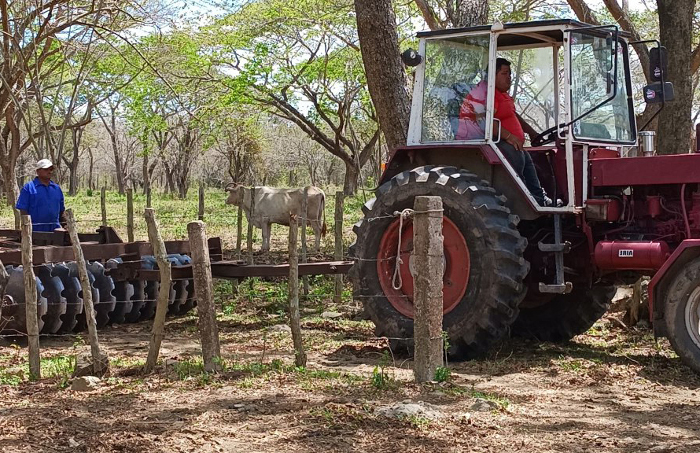 Fotos: De la autora Producción de leche y carne resalta en finca de Jimaguayú