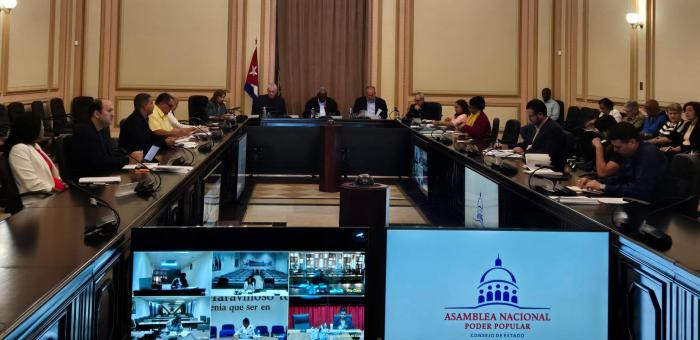 Consejo de Estado evaluó programa para reimpulsar la economía