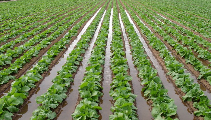 Instalarán beneficiosa tecnología en