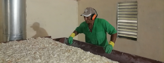 n de harina de yuca y deshidratados