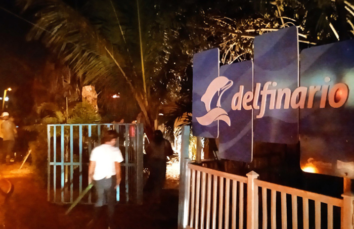 Nuevos datos sobre incendio en Delfinario de Cienfuegos 