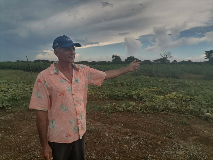 Productor camagüeyano destaca en ganadería y cultivos varios