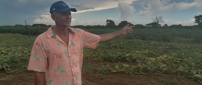 Productor camagüeyano destaca en ganadería y cultivos varios