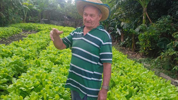 Un corazón fuerte florece en campos de Santa Cruz