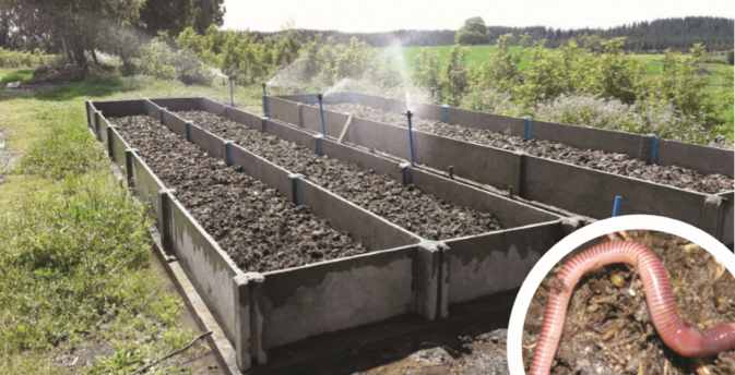 Lombricultura en taller de construcciones agropecuarias
