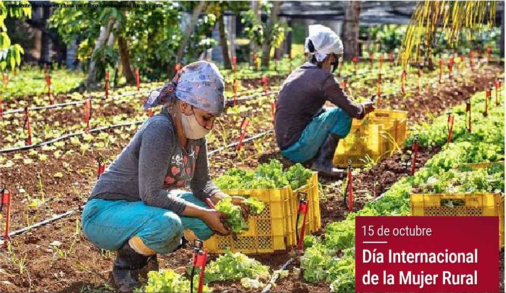 Festejan en Camagüey Día Internaci