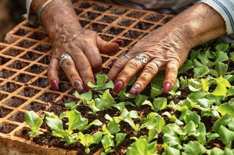 Las buenas prácticas agroecológica