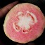 La guayaba de la discordia